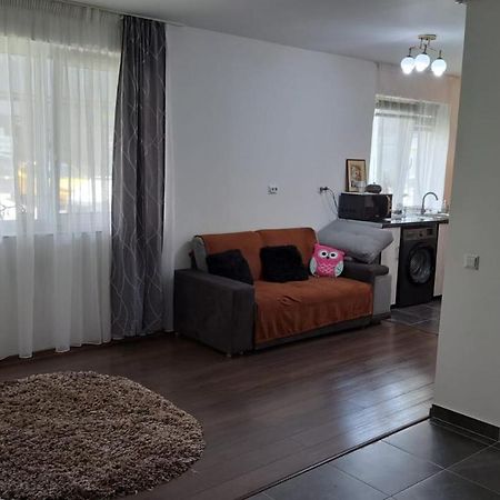 Sinnicoara Cozy Nest 아파트 외부 사진