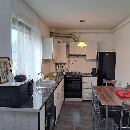 Sinnicoara Cozy Nest 아파트 외부 사진