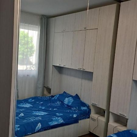 Sinnicoara Cozy Nest 아파트 외부 사진