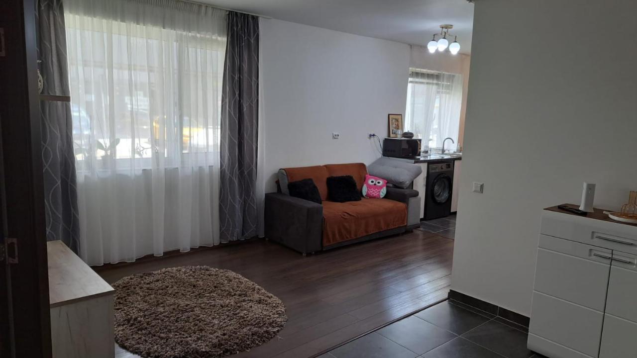 Sinnicoara Cozy Nest 아파트 외부 사진