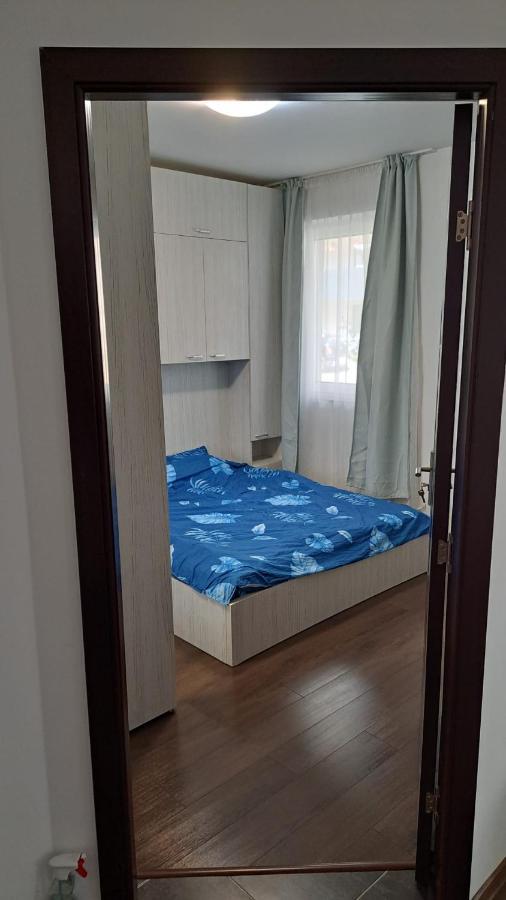 Sinnicoara Cozy Nest 아파트 외부 사진