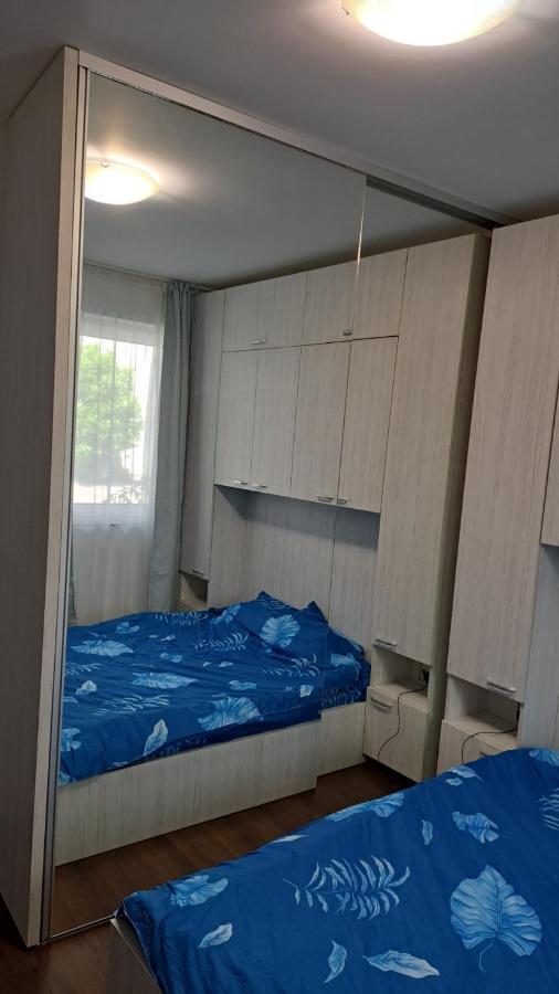Sinnicoara Cozy Nest 아파트 외부 사진